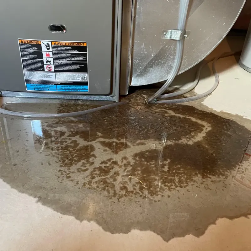 Appliance Leak Cleanup in Stamford, CT